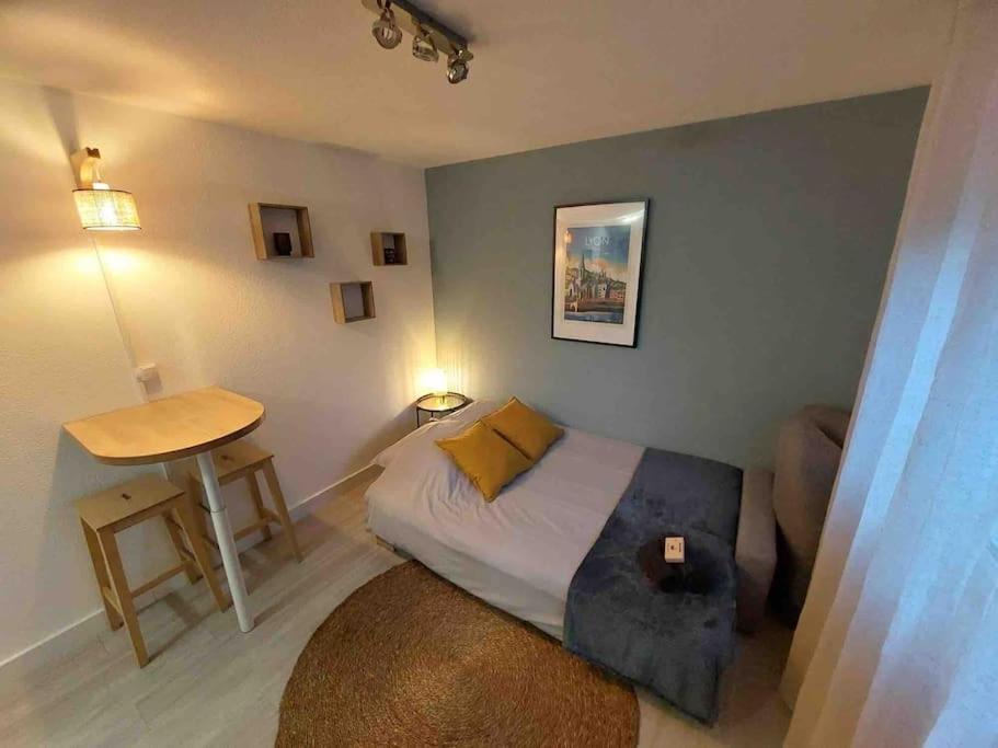 Studio Le Pensier - Monplaisir Lyon Luaran gambar